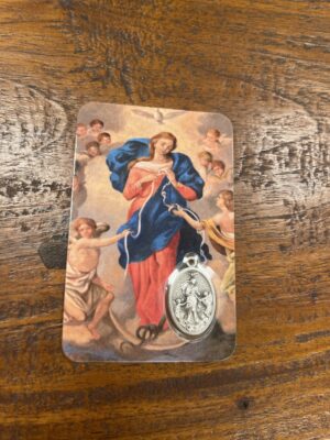 Gebedskaartje/medaille - Maria die knopen ontwart NL (55x85mm)