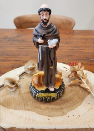 Beeld Franciscus